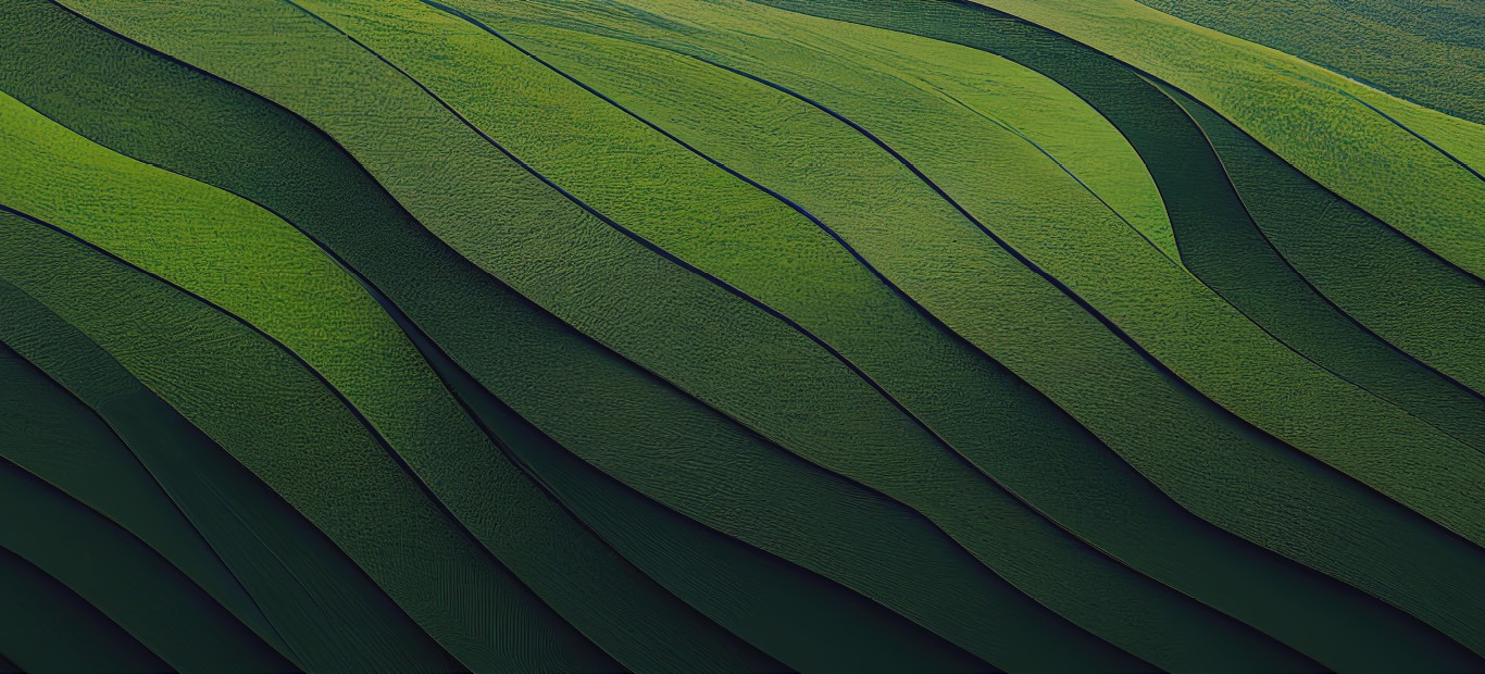 EcoVadis Program